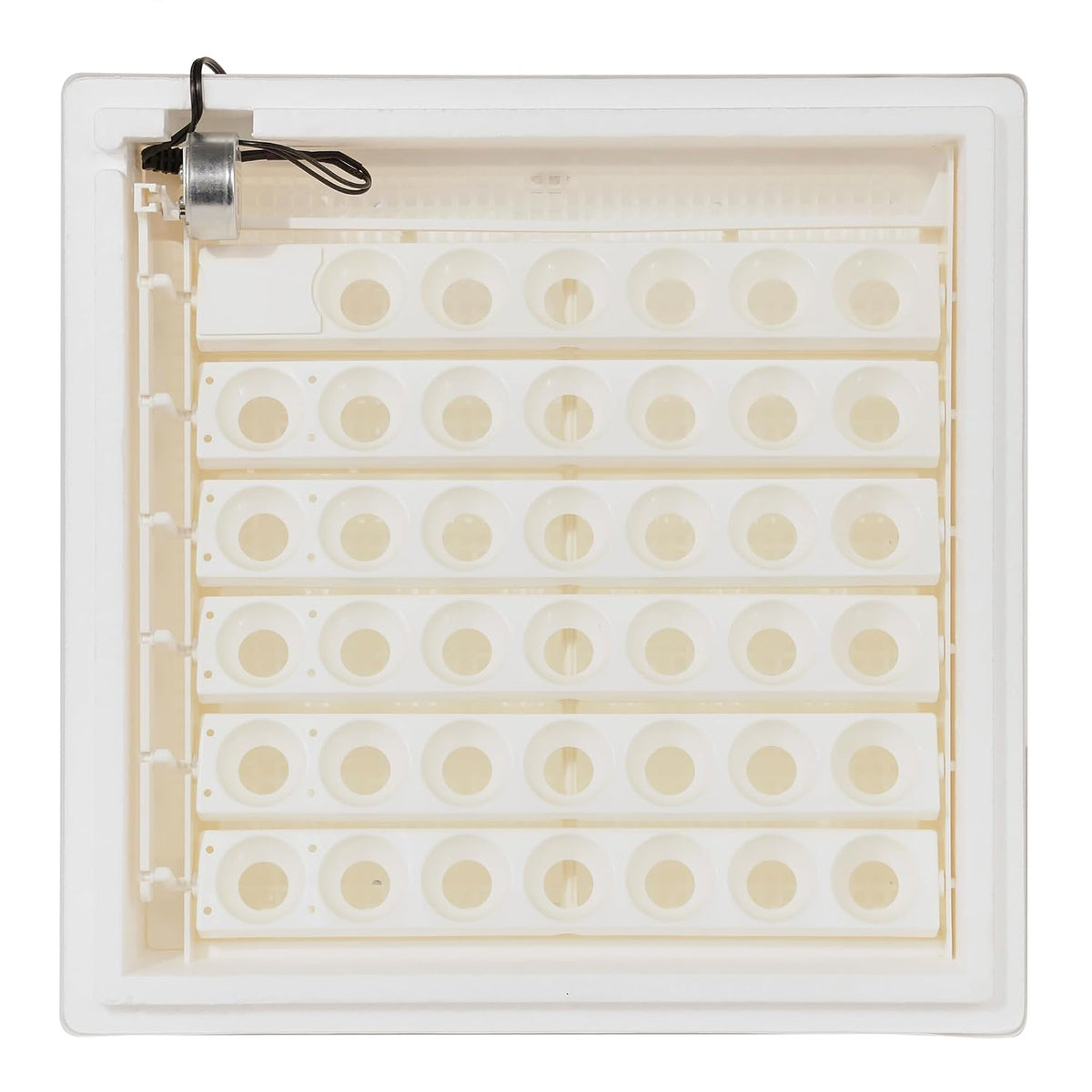 Farm Innovators 41 Egg Digital Circulated Air Incubator, Auto Turner, White