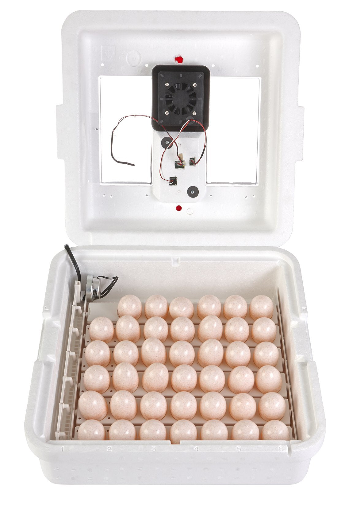 Little GiantÂ® Digital Circulated Air Incubator with Automatic Turner | 41 Egg Capacity | Chick Egg Hatching Incubator with Fan and Egg Turner | Made in USA