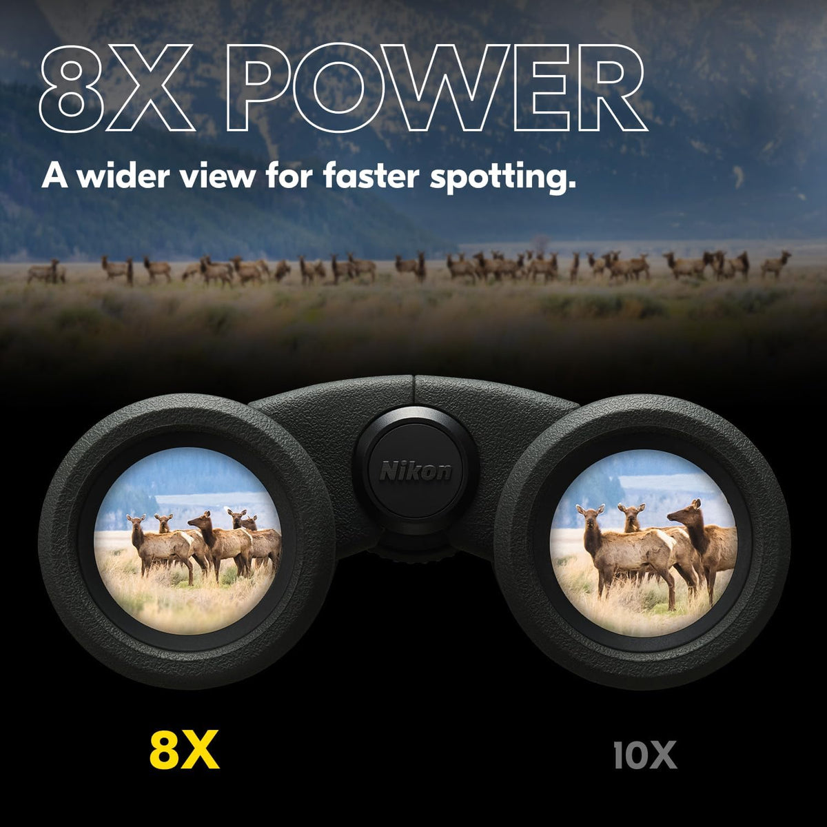 Nikon PROSTAFF P3 10x42 Binocular | Waterproof, fogproof, rubber-armored Full-Size Binocular, wide field of view & long eye relief | Official Nikon USA Model