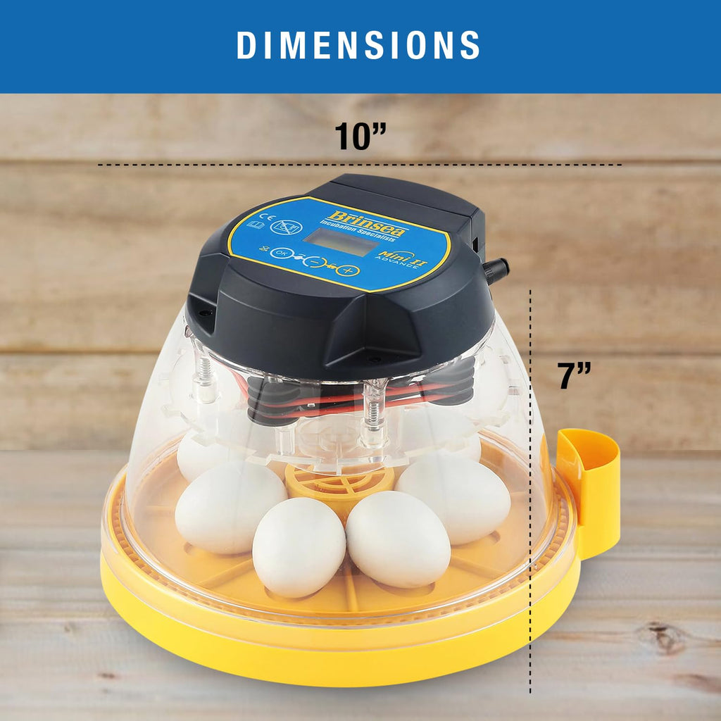 Brinsea Mini II Advance Incubator with Automatic Turner for Hatching 7 Eggs