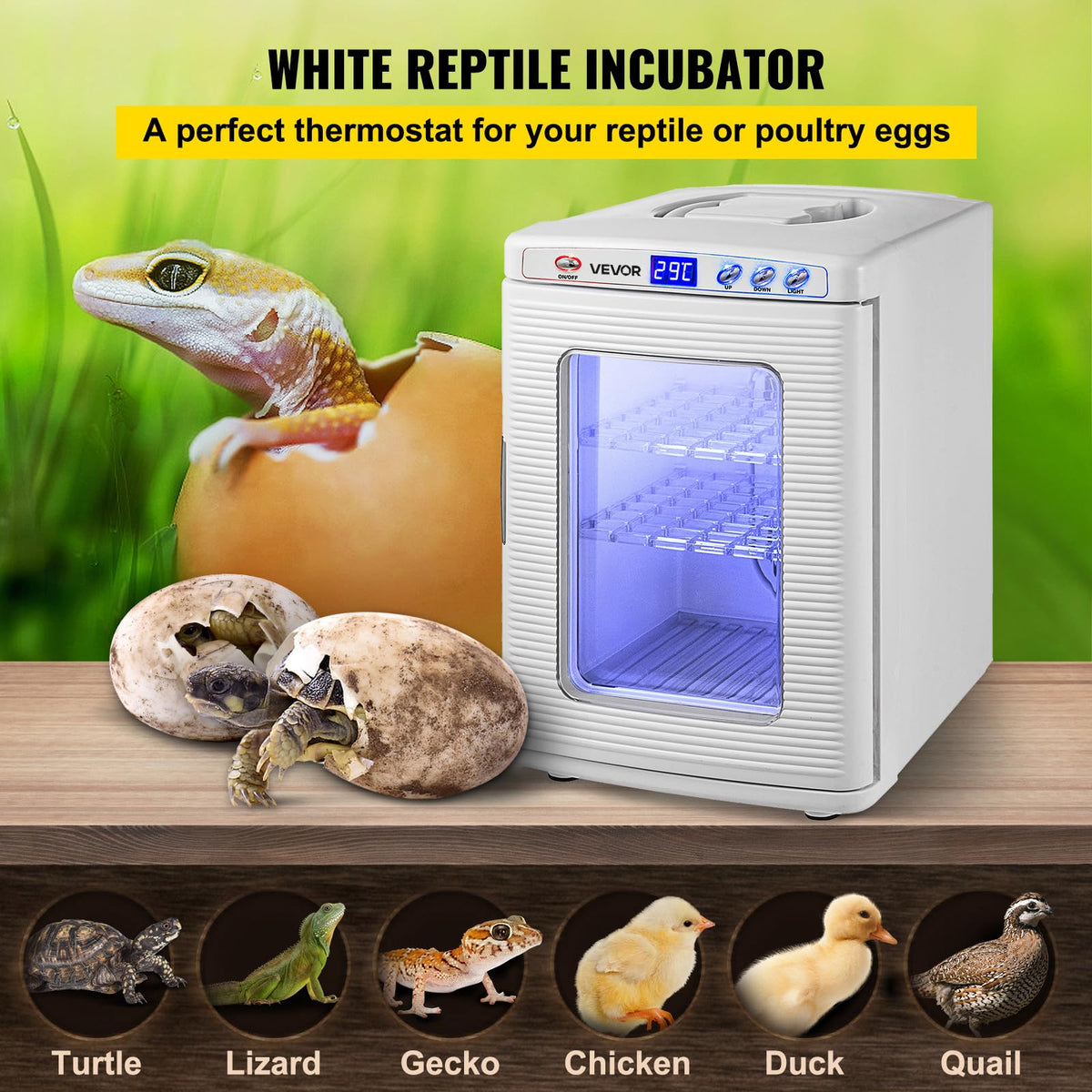 Happybuy Black Reptile Incubator 25L Digital Incubator for Small Reptiles with Cooling and Heating 5-42C