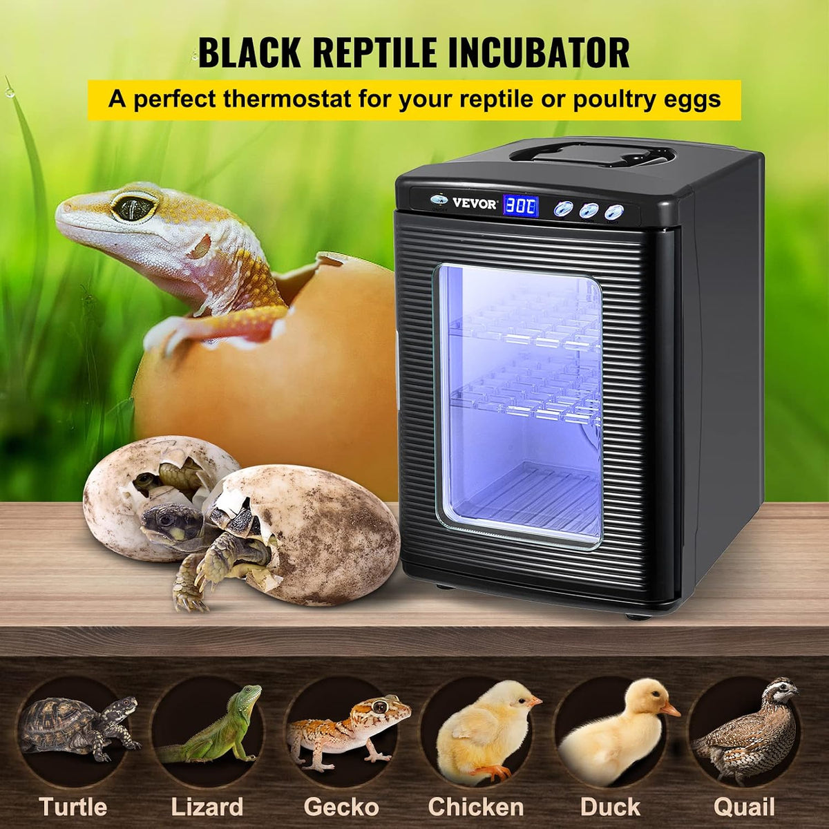 Happybuy Black Reptile Incubator 25L Digital Incubator for Small Reptiles with Cooling and Heating 5-42C