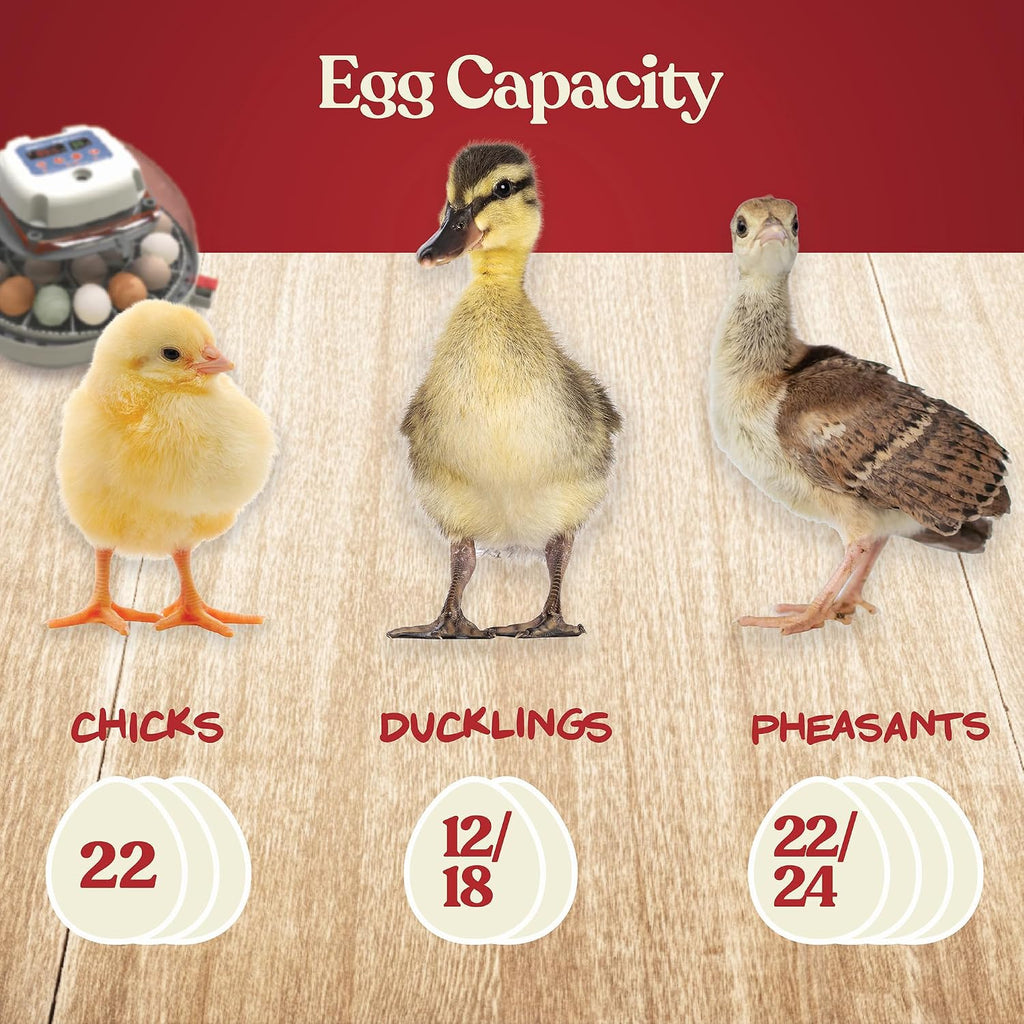 Harris Farms Nurture Right Egg Incubator with Auto Turner, Holds 22 Eggs