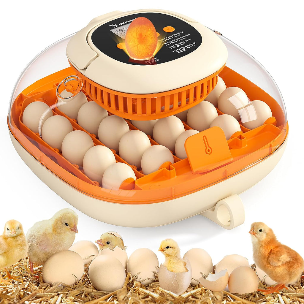 Chickcozy 25 Egg Incubator, Automatic Egg Turner with Thermometer Seat and Humidity Control, Egg Candler, 360Â° View with Clear Window, Incubators for Hatching Chicks (Sunlit Orange)