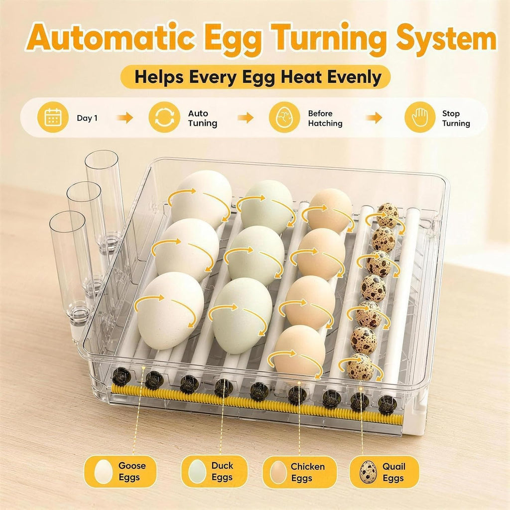 216 Egg Incubator for Hatching Eggs with Auto Turner, Temp Control, Candler