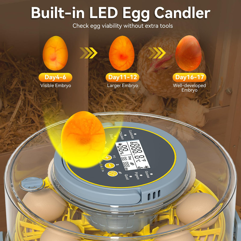 IBKINXX Incubator for Hatching Eggs-48 Egg Capacity, 2026 Newly Upraded Auto Egg Turner & Auto Precision Humidity Control System, 360Â° Clear Viewing for Chicken, Duck and Quail Eggs (Yellow)