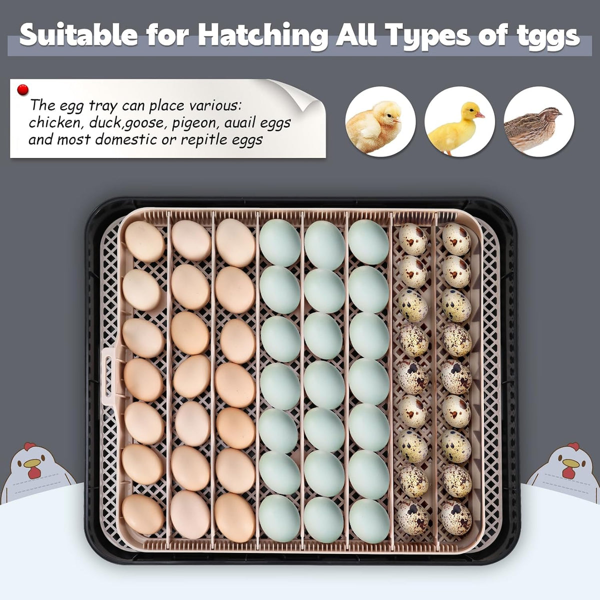 Sailnovo 56 Egg Incubator for Hatching Eggs with Automatic Egg Turning Gray
