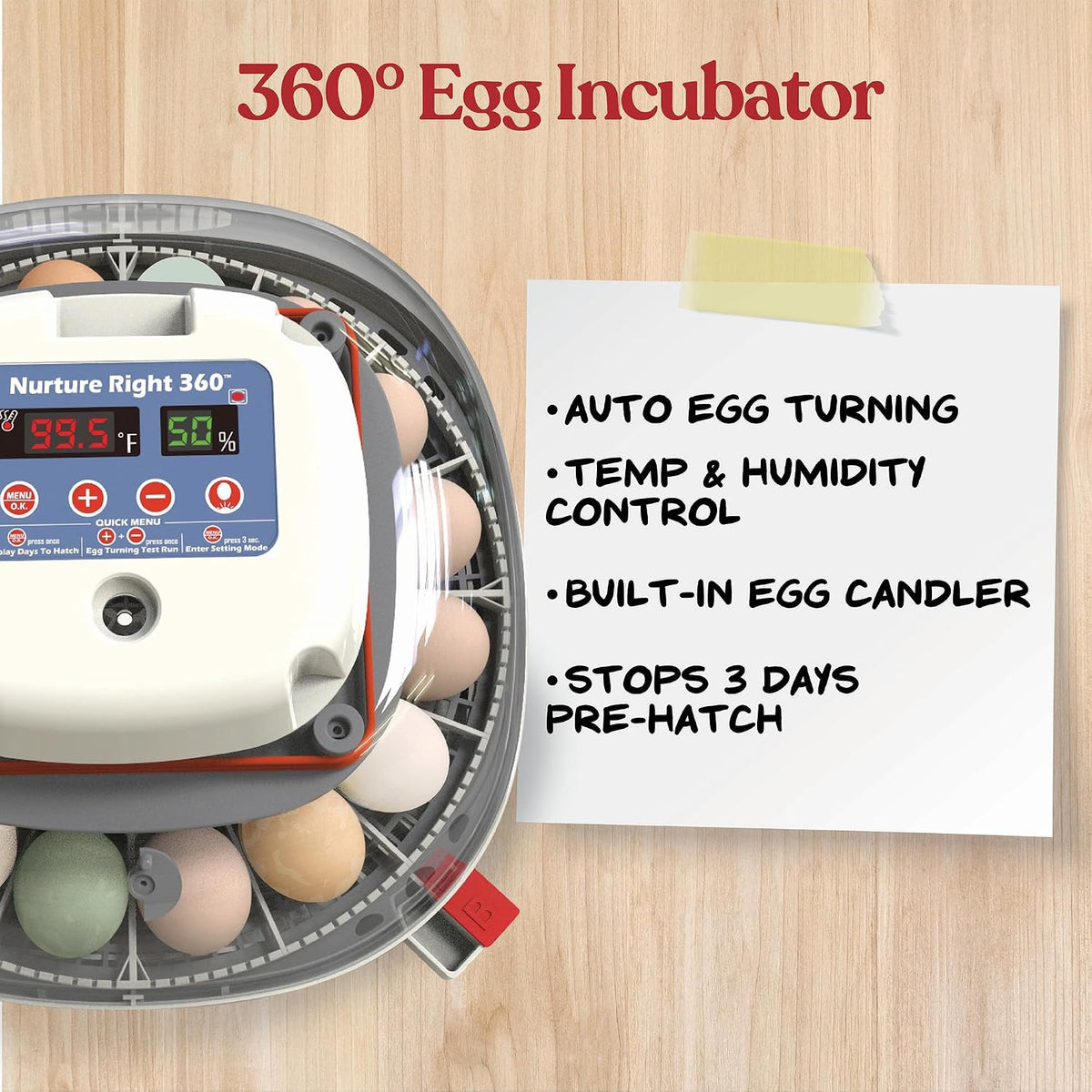 Harris Farms Nurture Right Egg Incubator with Auto Turner, Holds 22 Eggs