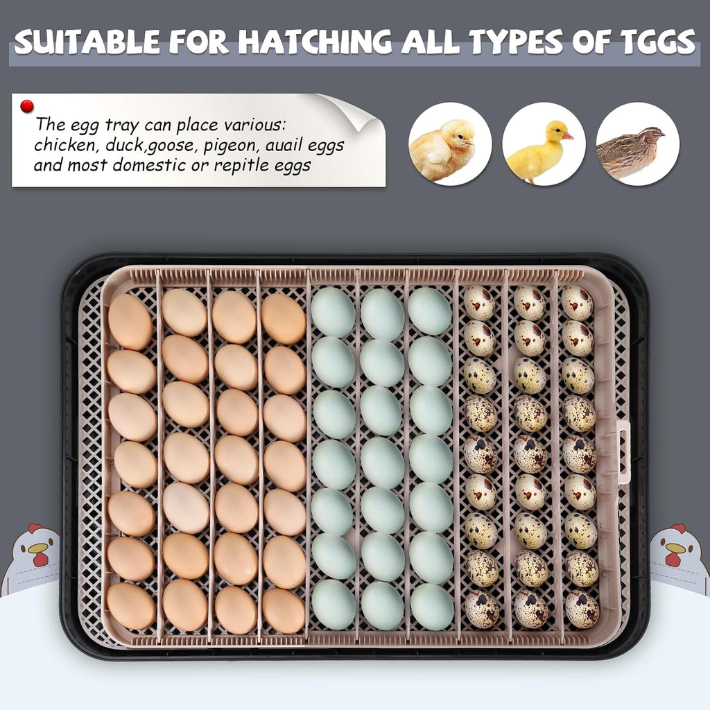 Sailnovo Incubators for Hatching Eggs 70 Egg Incubator with Auto Egg Turning and Auto Humidification, Temperature Control, Incubator for Chicken Duck Quail Eggs, Perfect for Lab School Farm, Grey