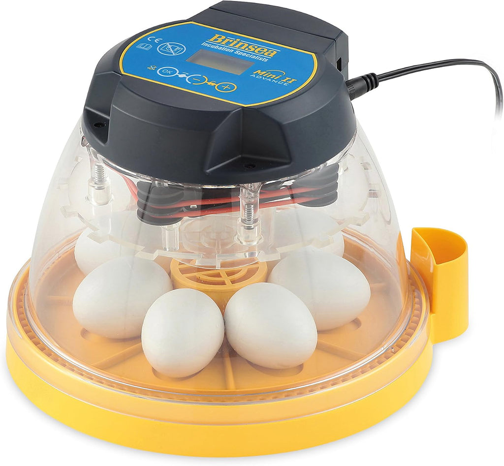 Brinsea Mini II Advance Incubator with Automatic Turner for Hatching 7 Eggs