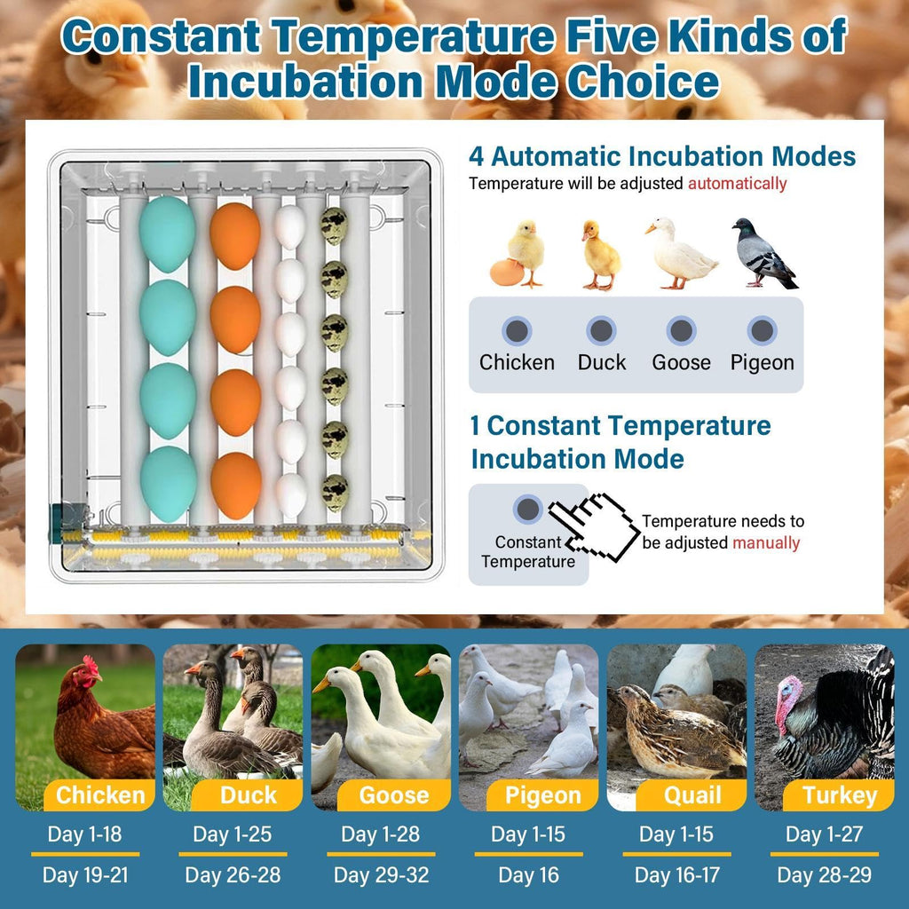New 216 Egg incubators for Hatching Eggs with Automatic Turning