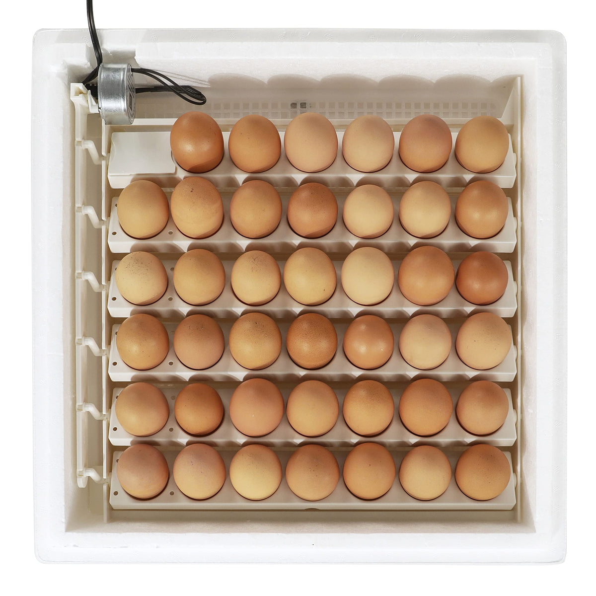 Farm Innovators 41 Egg Digital Circulated Air Incubator, Auto Turner, White