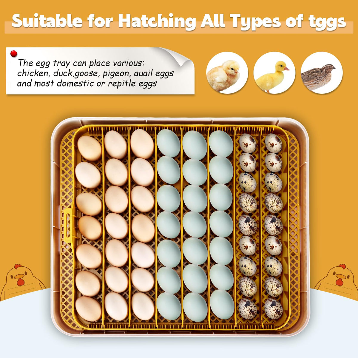 Sailnovo 56 Egg Incubator for Hatching Eggs with Automatic Egg Turning Gray
