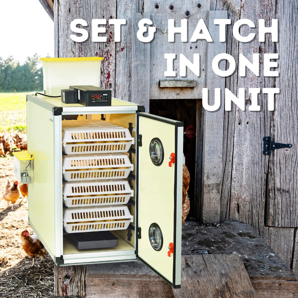 Hatching Time Incubators for Hatching Eggs, CT180SH Egg Setter & Hatcher