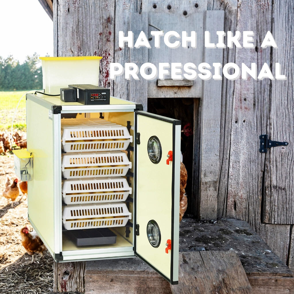 Hatching Time Incubators for Hatching Eggs, CT180SH Egg Setter & Hatcher